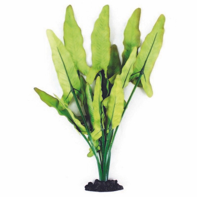 extra large plastic fish tank