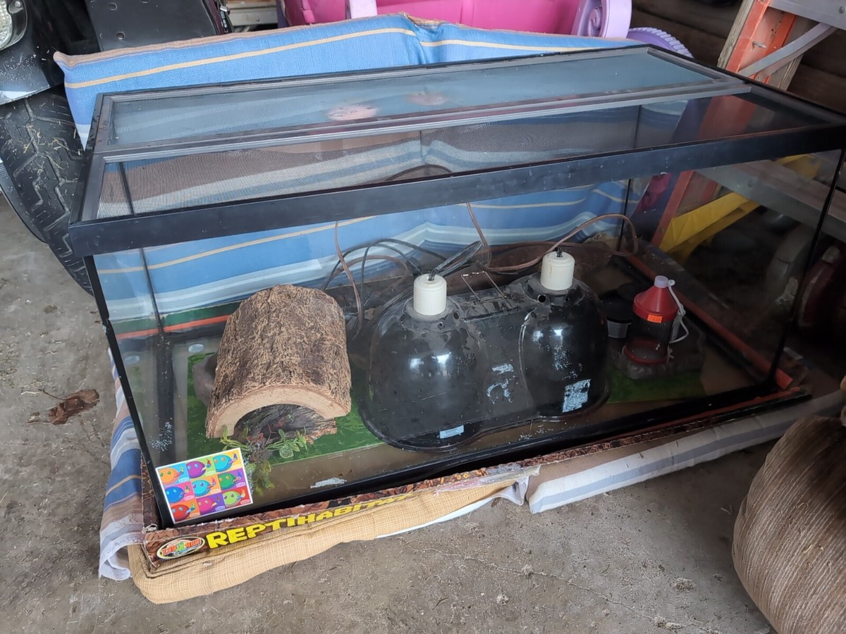 Zoo Med Reptiles For 40 Gallon Tank Leopard Gecko Zoo Med 40