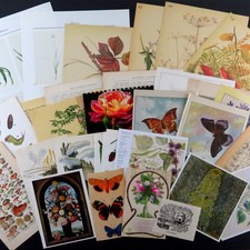 30-pc Vintage Garden Ephemera flowers butterflies mushrooms, junk journal fodder
