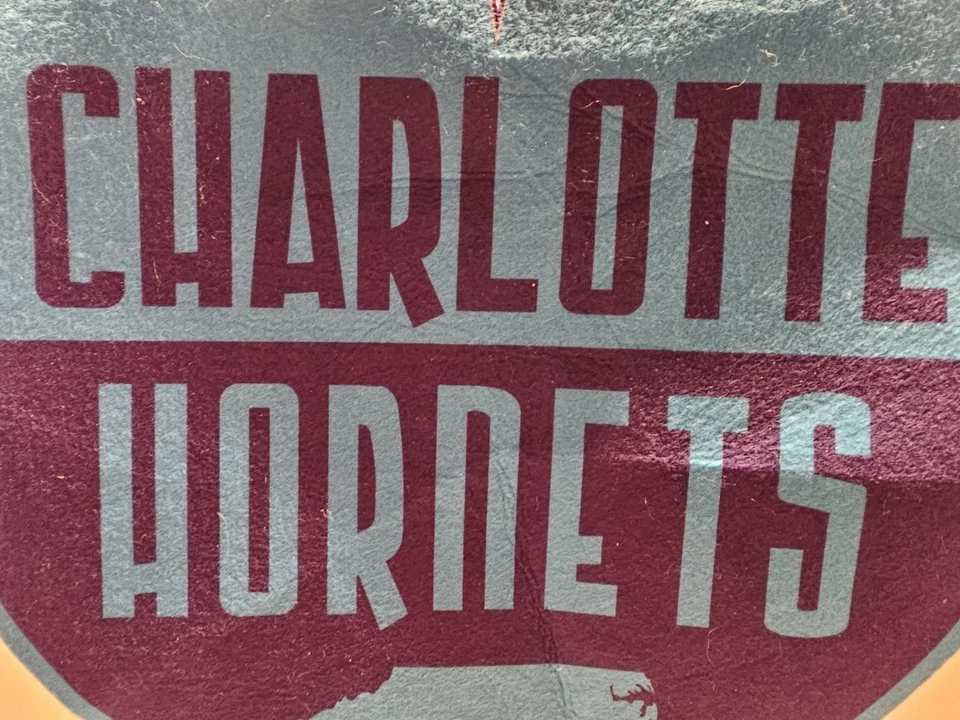 Charlotte Hornets NBA 18" Round Pennant  - Image 3 of 4