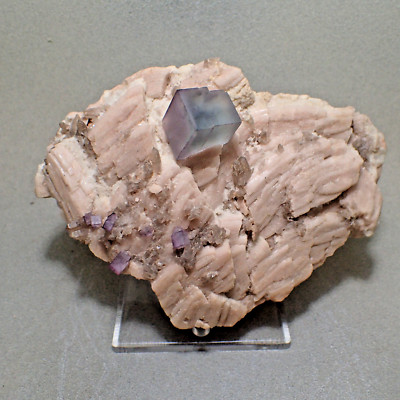 Fluorite & Smoky Quartz on Microcline, Dreamtime Claim, Lake George, Colorado
