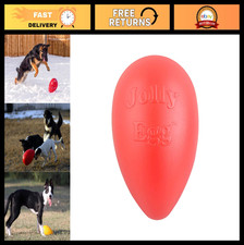 Interactive Dog Toy - 8" Medium Jolly Egg, Durable, Bouncing, Fun for Dogs