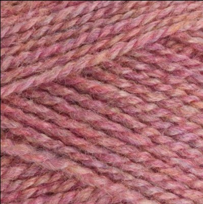 Stylecraft Highland Heathers Aran 10 Pack - DK 3745 Wild Salmon 100grams NWT