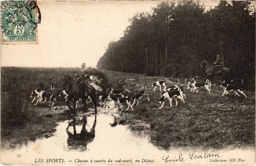PC EN SOLOGNE CHASSE A COURRE LE RENDEZ-VOUS HUNTING SPORT