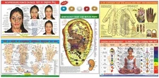 Acupressure Face, Reflex, Sujok Byol, Chakra, Ear Charts (Set of 5) + 10 Rings