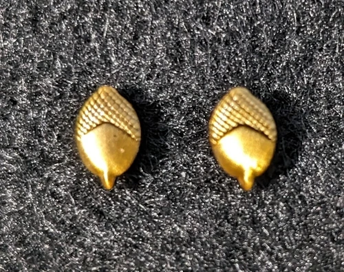 Bronze Acorn Device for Texas Medal of Merit  - New - Set of 2