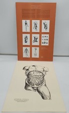 Vintage 1966 Dr's Office Andreae Vesalii Medical Poster Roche Labs The Colon