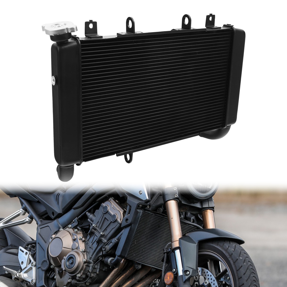 ラジエーターガード RGH-CB650-00 CB650R / CBR650R T-Rex Racing Honda CB650R / CBR650F / CBR650R Radiator Guard