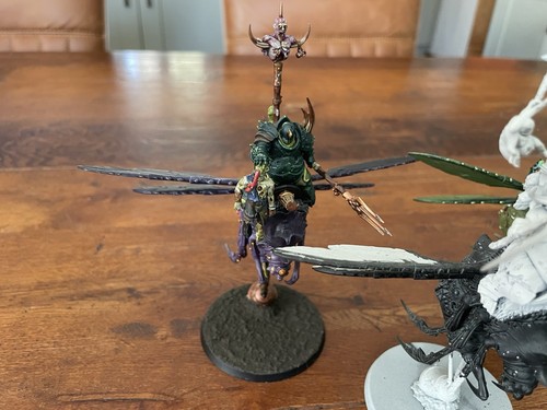 Warhammer Age Of Sigmar Nurgle Lord Of Afflictions & Pusgoyle Blightlord bemalt - Bild 5 von 11