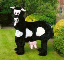 Hire a 2 - man  Pantomime COW Costume - Black or Brown 