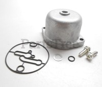SchüSsel Vergaser AufsitzmäHer RasenmäHer Nikki Briggs & Stratton 222052 699502