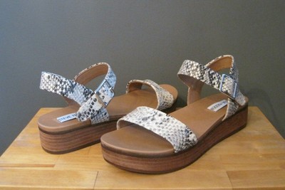 steve madden aida sandals