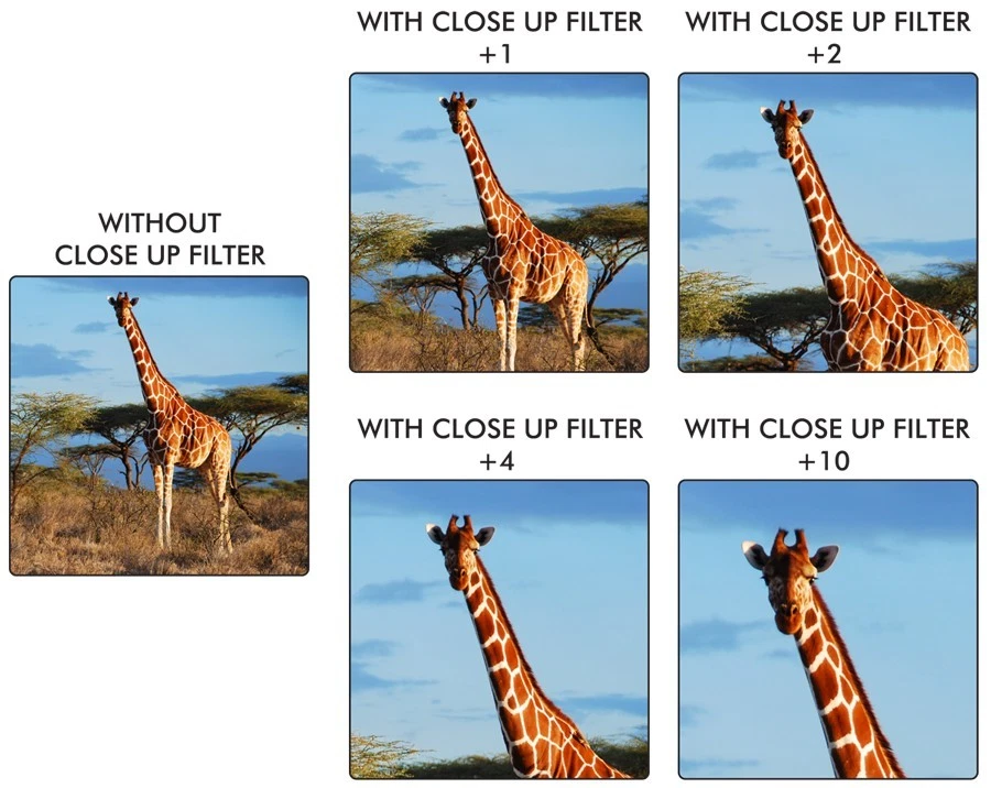 67mm 4 Piece Macro Close up Lens Filter Kit (+1 +2 +4 +10) - Image 3 of 3