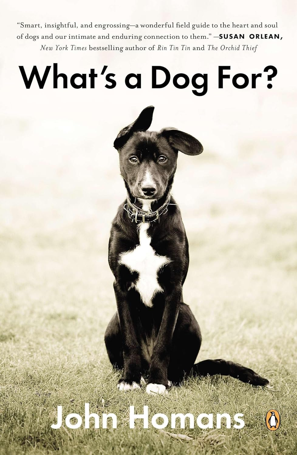 What'S a Dog For?: the Surprising History, Science, Philosophy, and Politics of