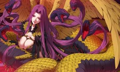 Anime Art 2D Portrait Gorgon Fate Series Monster 11x17 Poster