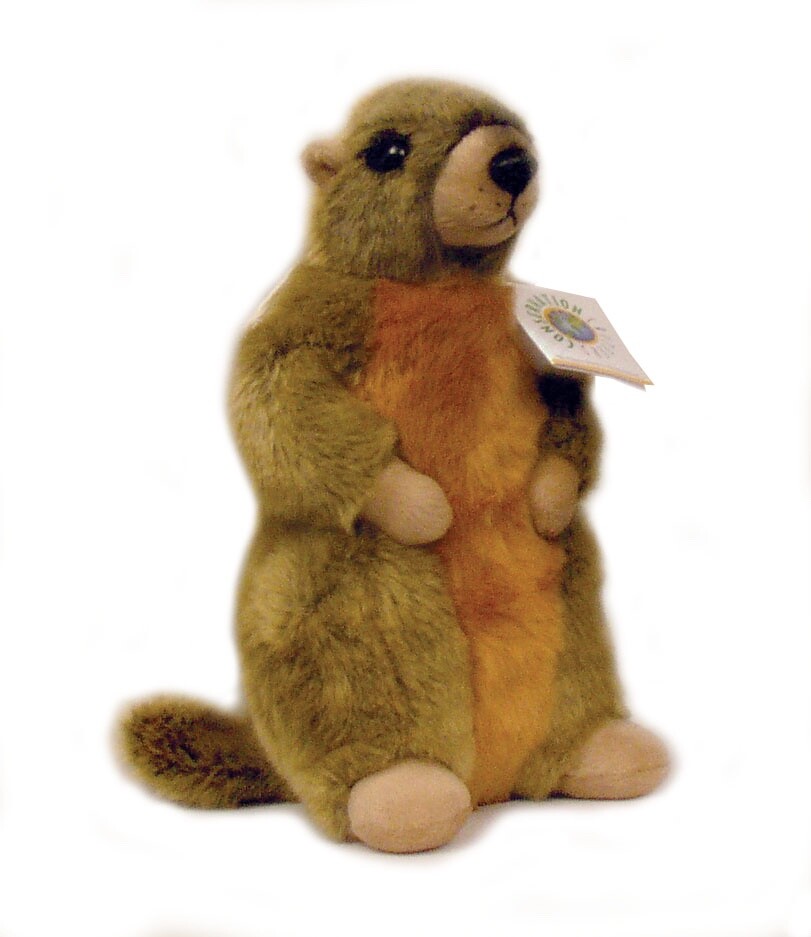 Conservation Critters Yellow-bellied Marmot Plush 10