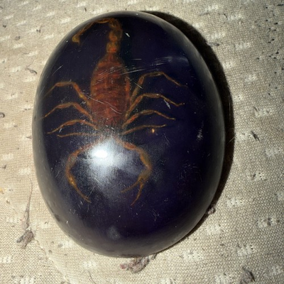 #ad SCORPION 🦂 Specimen Paperweight • Acrylic Dome • Blue Glittered • 2quot; $8.99