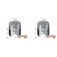 2X Autofren 66Mm Kolben Bremssattel Vorne Passend FüR Chrysler Voyager Jeep Cher