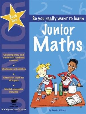 Junior Maths Book 2 Paperback David Hillard