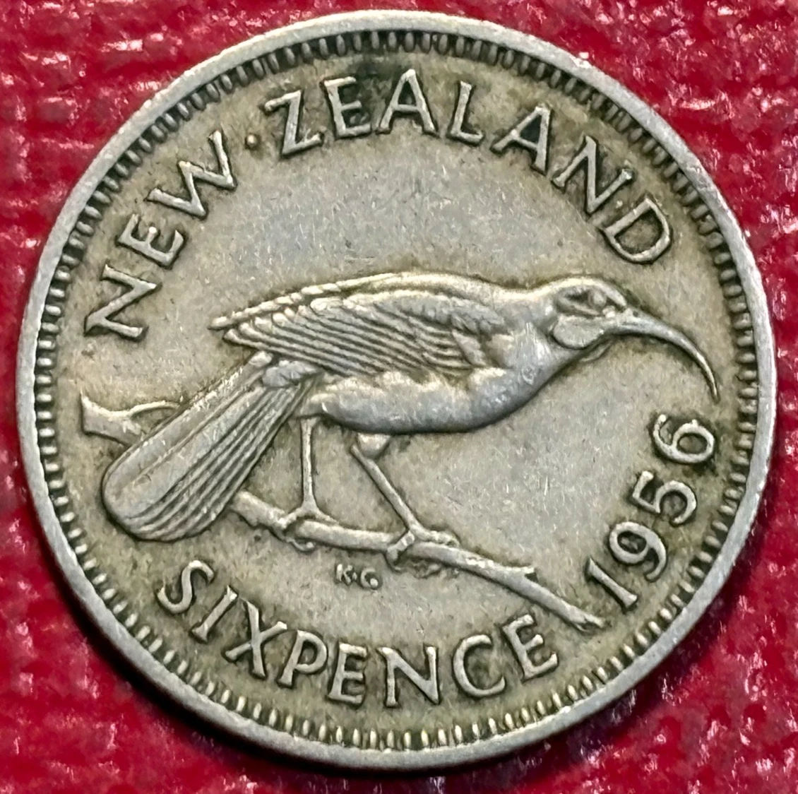最終値下げCCU NEAT SHEEP REGULAR サイズ1美品 Circulated 1956 New Zealand Coins for sale | eBay