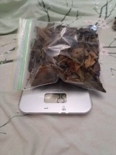 Qurt Dried Mulberry Leaves for Aquarium Tropical Fish Bottom Feed Shrimp Natural