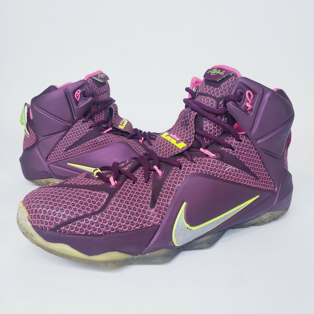Nike Lebron James XII 12 Double Helix Purple Silver Pink