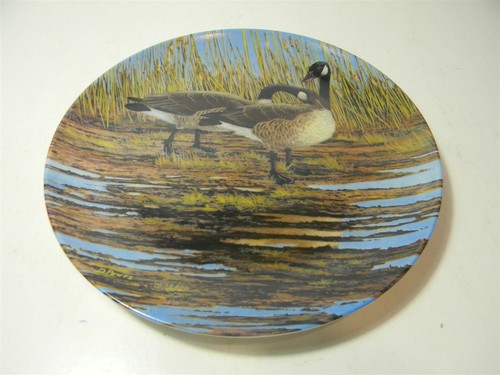 Dominion China Courtship Wings Upon The Wing Canada Geese Collectors Plate PL8