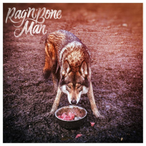 Rag'n'Bone Man Wolves (CD) Album