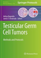 Aditya Bagrodia (U. A.) | Testicular Germ Cell Tumors | Taschenbuch | Englisch