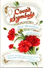 Postcard Love's Symbols Red Carnation Affection Early 1900's