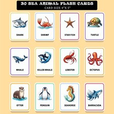 Flash card animali marini stampabili - ispirazione montessori - set 30 carte per scuola materna