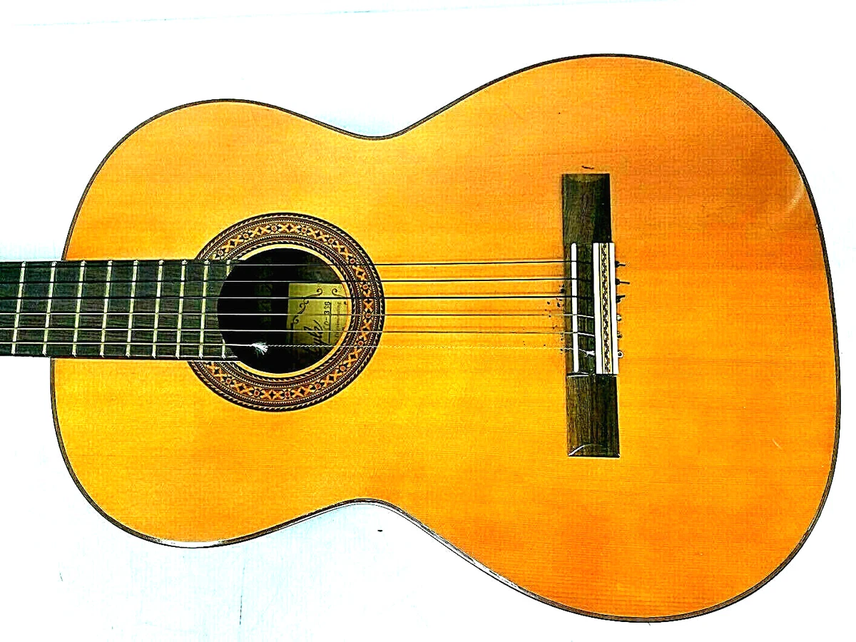 Lyle 2024 acoustic guitar