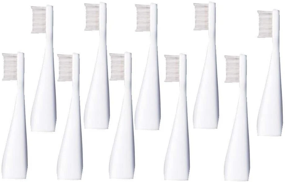 Panasonic replacement brush pocket Doltz EW-DS12 10 EW0958-W-5SE From Japan