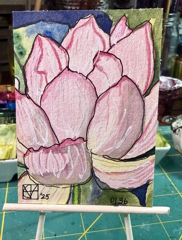 ACEO by M. Hackney Botanical Watercolor & Ink, Signed, 2.5x3.5" Original