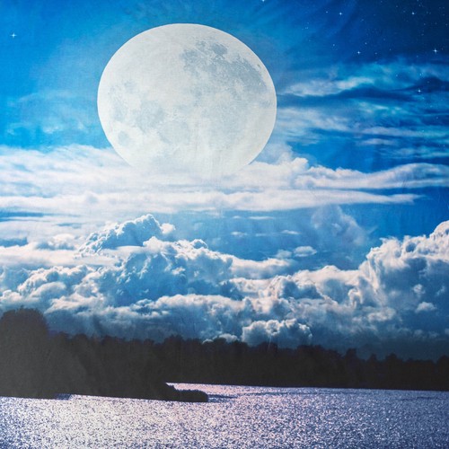 Completo Lenzuola Copriletto Una Piazza Digitale Imagine Bassetti Vari Modelli - Imagen 27 de 30