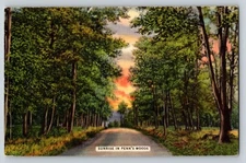 PA vintage linen SUNRISE PENNSYLVANIA WOODS 1938 Postcard forest trees