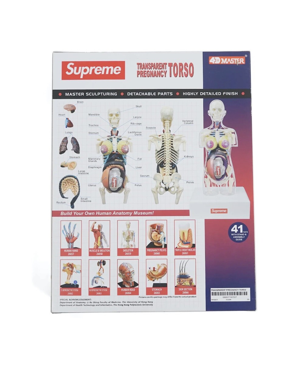 Supreme Female Anatomy Model FW18 New, Sealed Educational | eBay Supreme Female Anatomy Model FW18 New, Sealed Educational | eBay