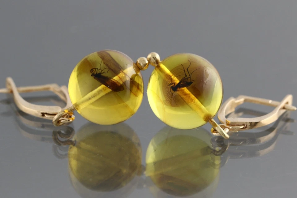 Pendientes de cuentas redondas genuinos ámbar báltico oro 14k insectos fósiles 3g 200819-6 Foto 4 de 4