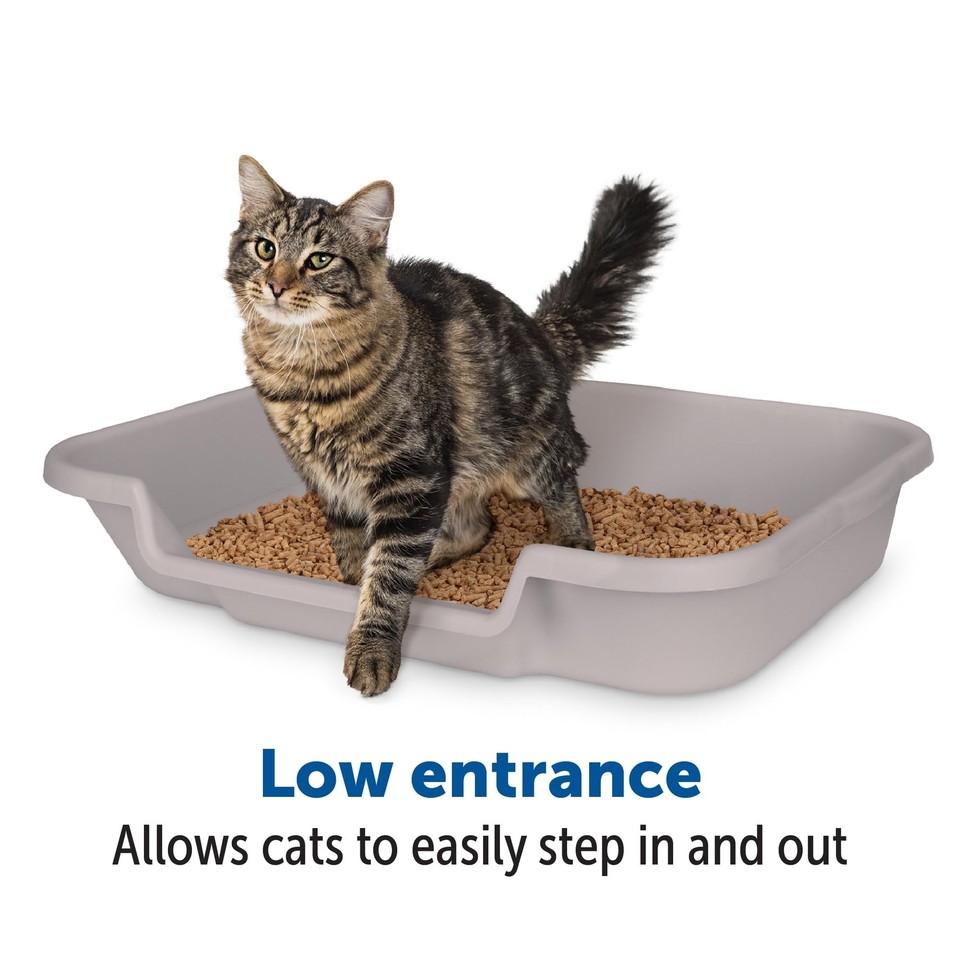 KittyGoHere Senior Cat Litter Box 1 Pack, Large Misty Gray Low Entrance