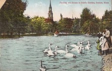 Boston, MASSACHUSETTS - Public Garden - Feeding the Swans - Long Dresses