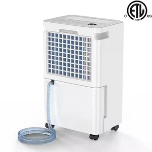 30 Pt. 3,000 Sq.Ft. Dehumidifier for Basement in White with Drain Hose, Bucket,