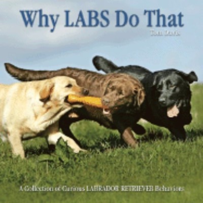 Why Labs Do That: A Collection of Curious Labrador Retriever Behaviors by Davis
