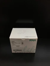 Thermo Scientific Ambion REF AM1911 RNAqueous Midi Total RNA Isolation Kit