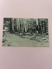 1918 woodlands bay, new Hampshide postcard