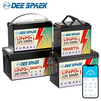 DEESPAEK 12V 24V 100Ah 300Ah LiFePO4 Lithium Batterie BMS Akku Solar RV Solaranlage DE