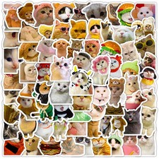 DothRayan Cat Stickers, 100 Pcs Fun Waterproof Vinyl B