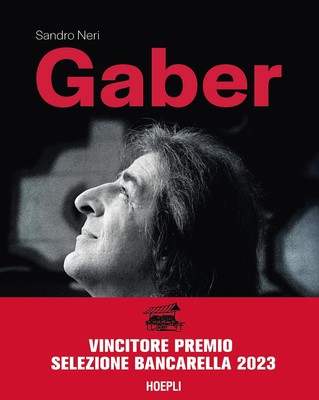Sandro Neri Gaber (Hardback)
