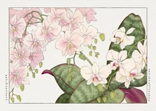 12018.Decoration Poster.Room wall.Home floral Asian design art.Japanese flowers