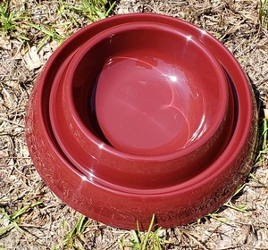 ant proof cat bowl