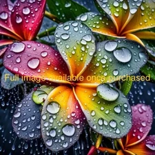 Flower Drops | High Resolution Digital Wall Art Print | Download